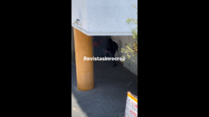 Anarquistas generan caos en Xalapa